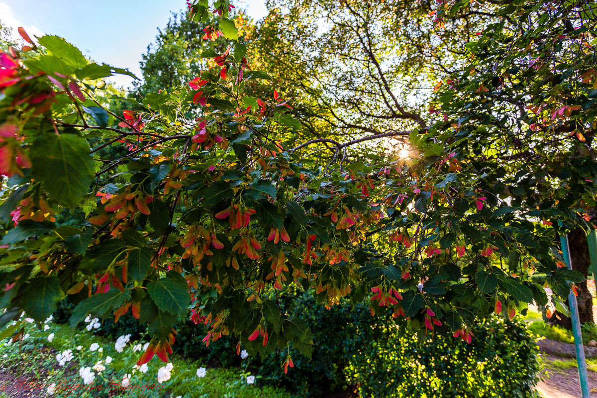 ... ����� Viktor Nogovitsin �� PhotoGeek.ru #������ ��� �������