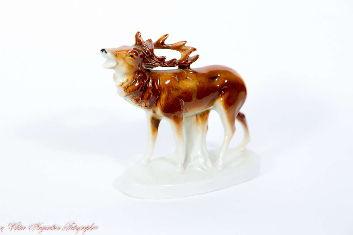 ... ����� Viktor Nogovitsin �� PhotoGeek.ru #���������