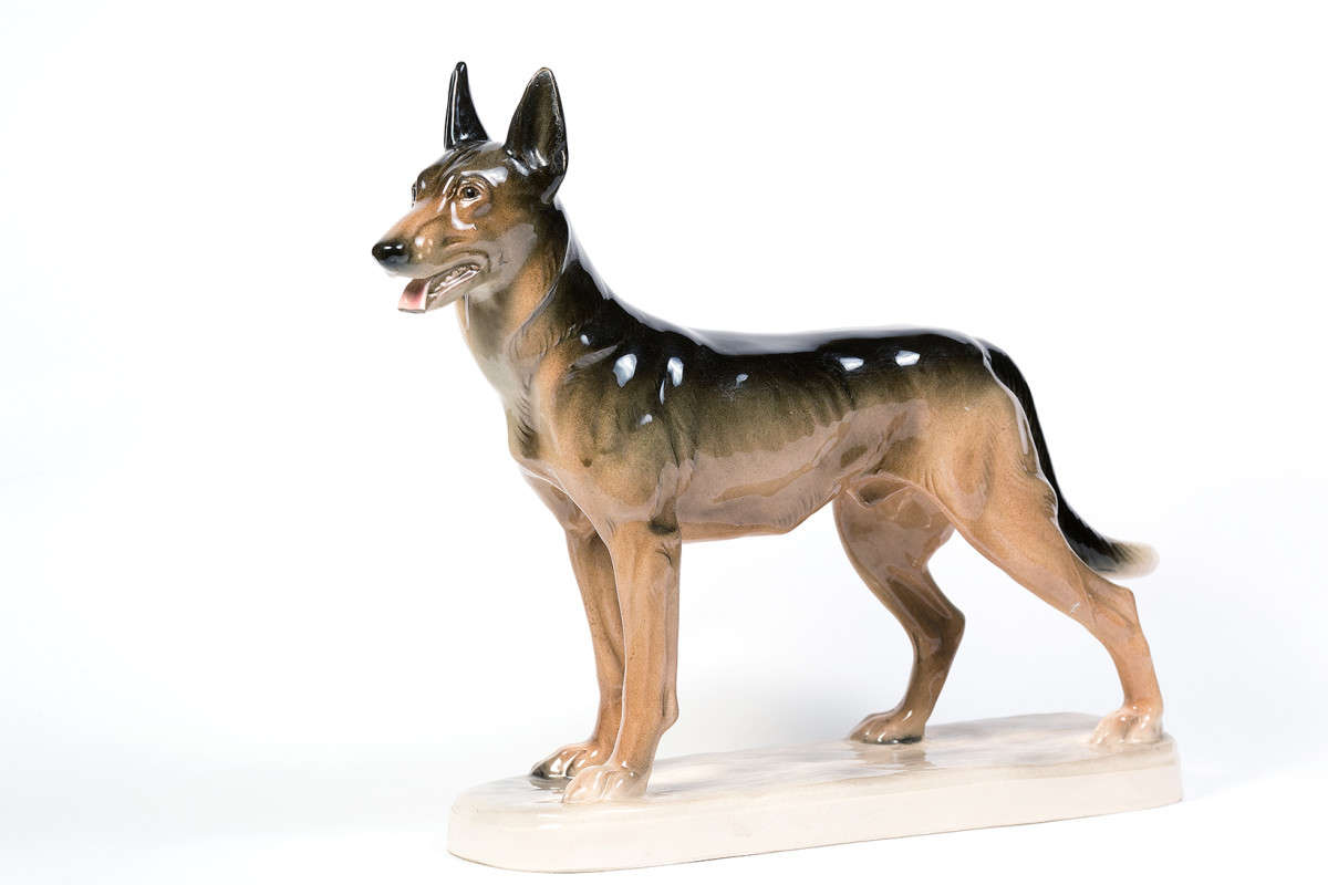 ... ����� Viktor Nogovitsin �� PhotoGeek.ru #���������