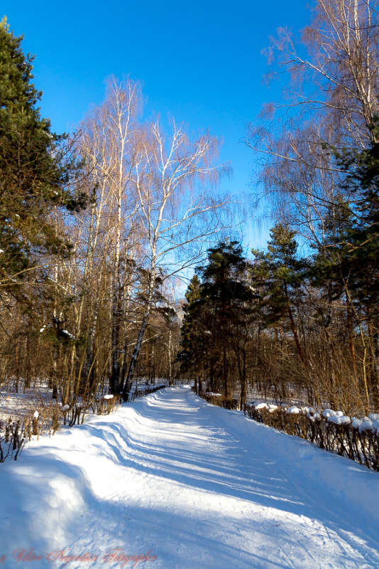 ... ����� Viktor Nogovitsin �� PhotoGeek.ru #������ ��� �������