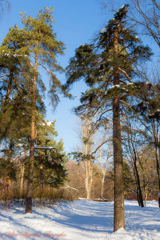 ... ����� Viktor Nogovitsin �� PhotoGeek.ru #������ ��� �������