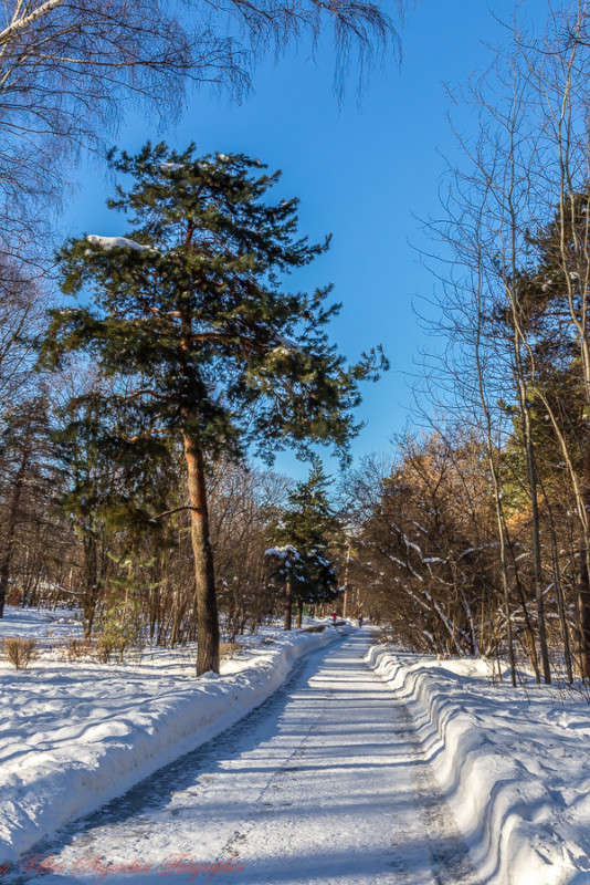 ... ����� Viktor Nogovitsin �� PhotoGeek.ru #������ ��� ������� #����� ��������������