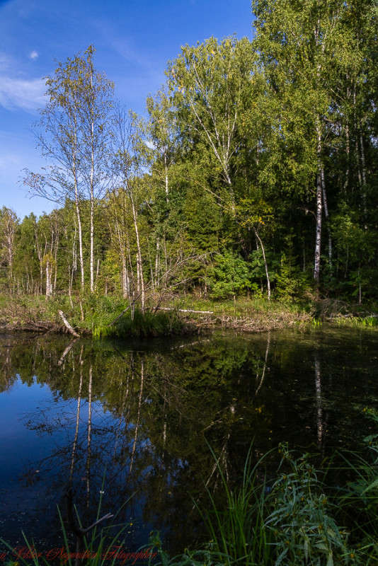 ... ����� Viktor Nogovitsin �� PhotoGeek.ru #������ ��� �������