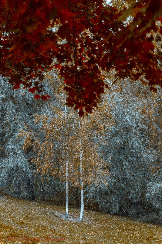 ... ����� Viktor Nogovitsin �� PhotoGeek.ru #������ ��� �������