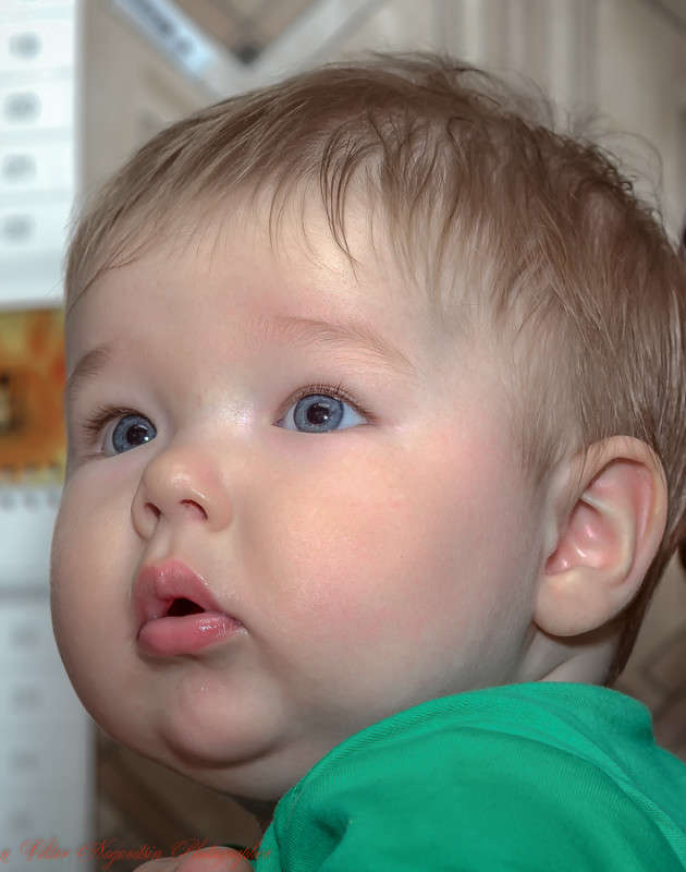 ... ����� Viktor Nogovitsin �� PhotoGeek.ru #�������