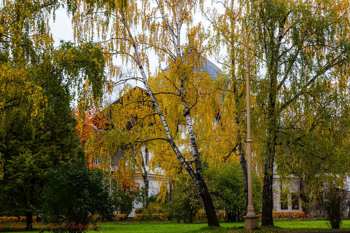 ������ , ���������� ����. ����� Viktor Nogovitsin �� PhotoGeek.ru #������ ��� �������