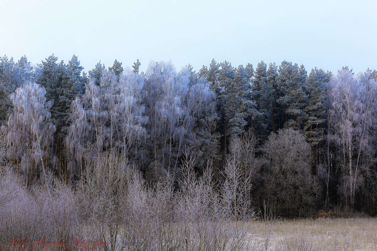 ... ����� Viktor Nogovitsin �� PhotoGeek.ru #������ ��� �������