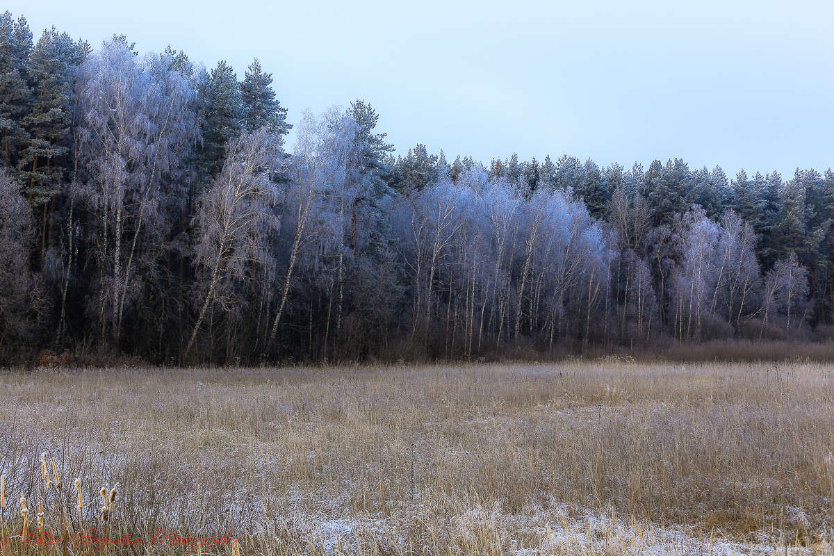 ... ����� Viktor Nogovitsin �� PhotoGeek.ru #������ ��� �������