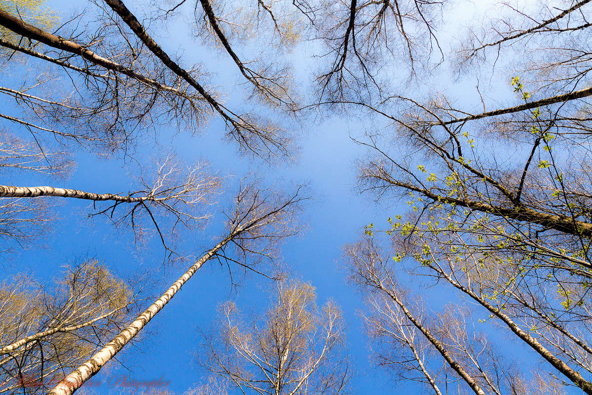 ... ����� Viktor Nogovitsin �� PhotoGeek.ru #������ ��� �������