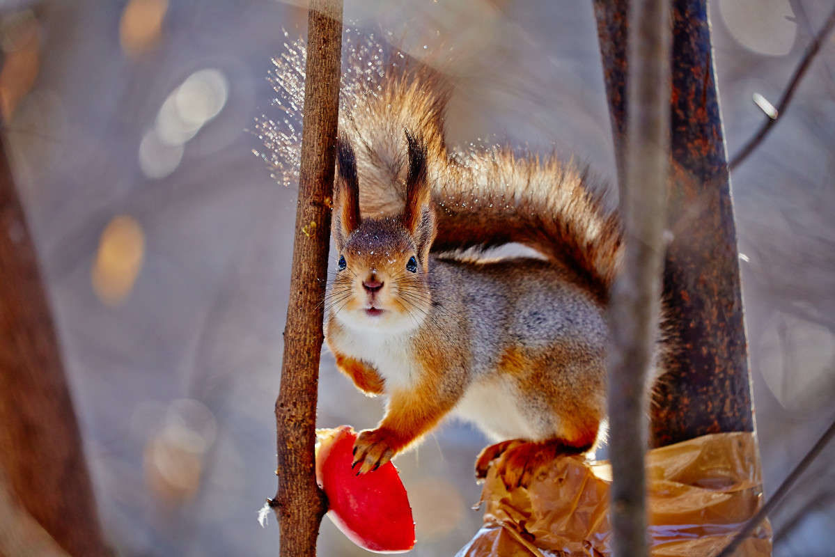 ... ����� Viktor Nogovitsin �� PhotoGeek.ru #�������� ���