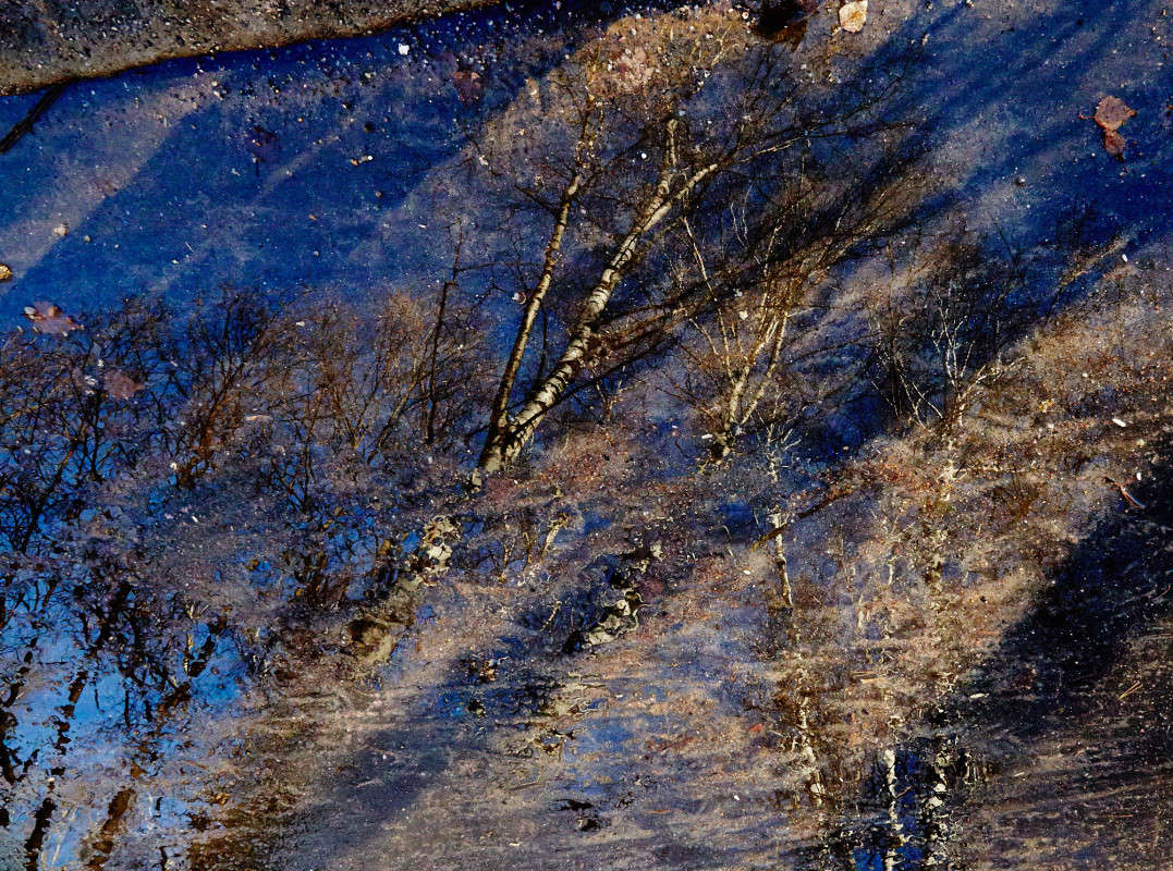 ... ����� Viktor Nogovitsin �� PhotoGeek.ru #������ ��� ������� #���������