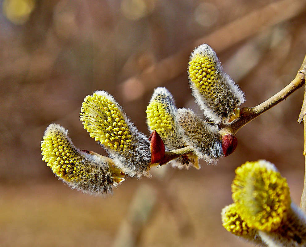 ... ����� Viktor Nogovitsin �� PhotoGeek.ru #����� #������ ��� �������