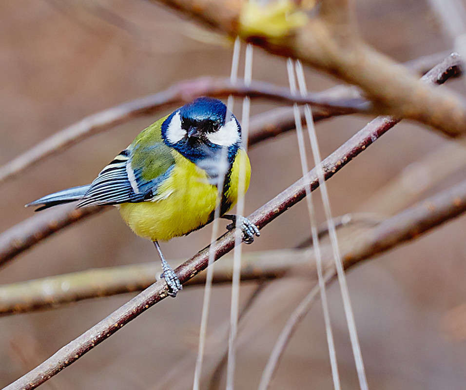 ... ����� Viktor Nogovitsin �� PhotoGeek.ru #�������� ���