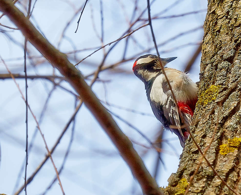 ... ����� Viktor Nogovitsin �� PhotoGeek.ru #�������� ��� #������ ��� �������