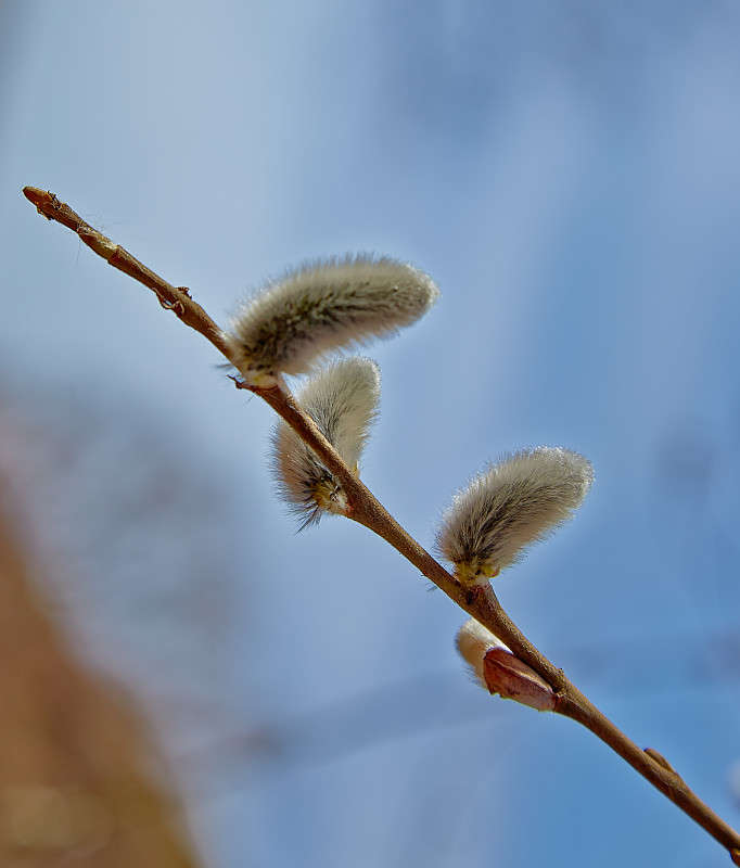 ... ����� Viktor Nogovitsin �� PhotoGeek.ru #������ ��� ������� #����� �������������� #���������