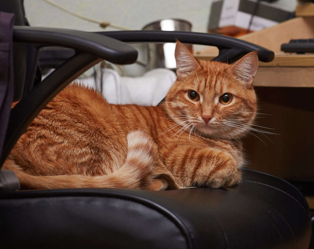 ... ����� Viktor Nogovitsin �� PhotoGeek.ru #�������� ���