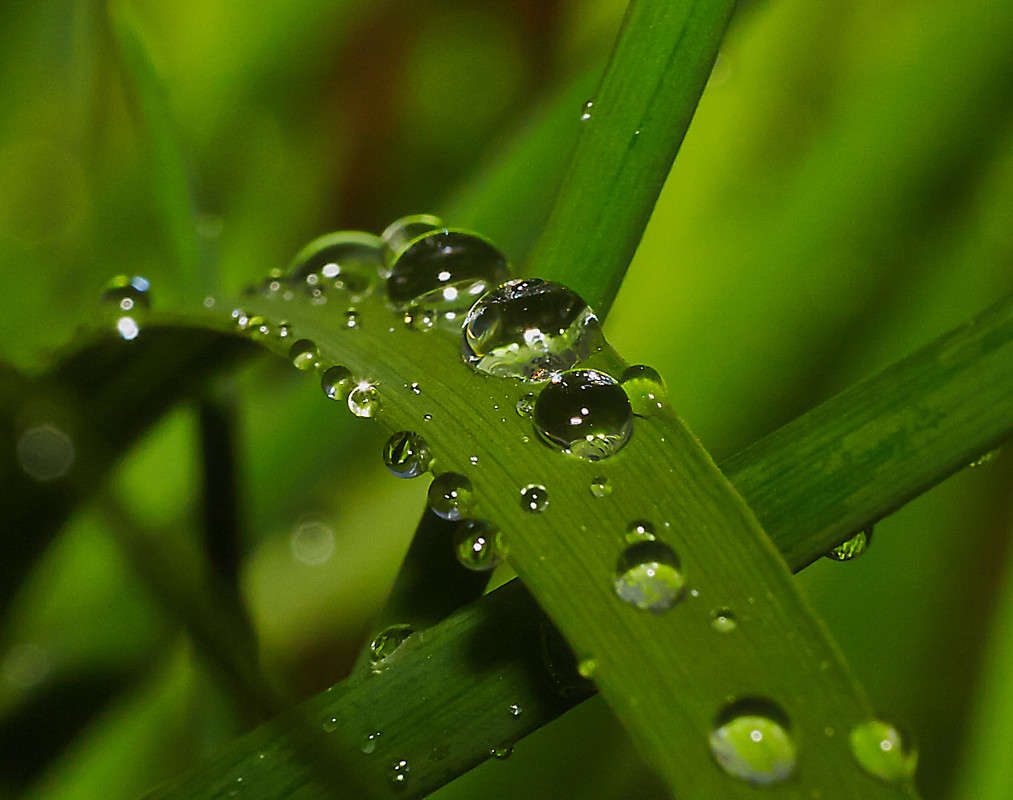 ... ����� Viktor Nogovitsin �� PhotoGeek.ru #�����