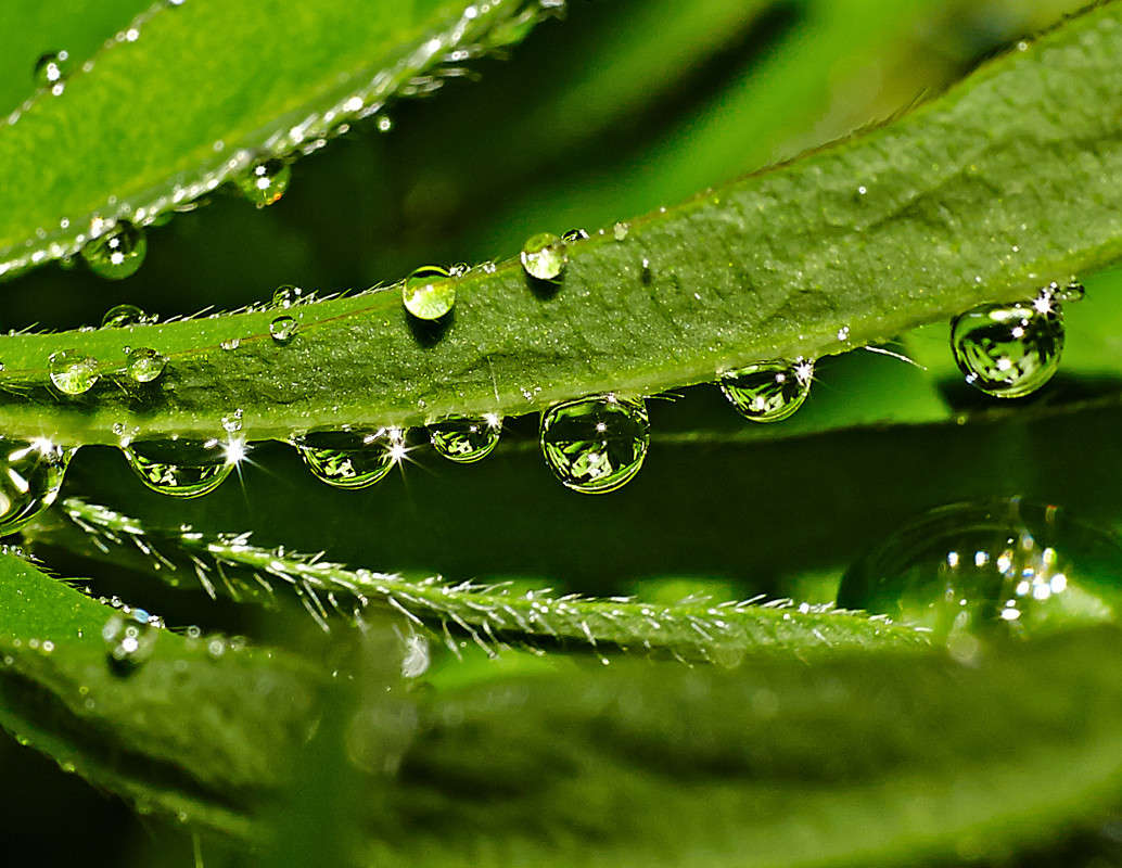 ... ����� Viktor Nogovitsin �� PhotoGeek.ru #�����