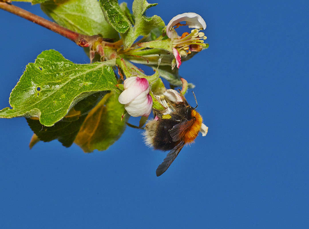 ... ����� Viktor Nogovitsin �� PhotoGeek.ru #�����