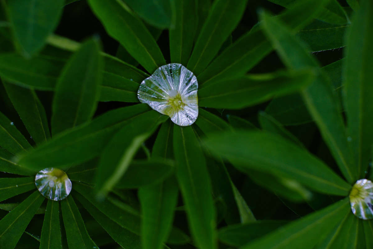 ... ����� Viktor Nogovitsin �� PhotoGeek.ru #�����