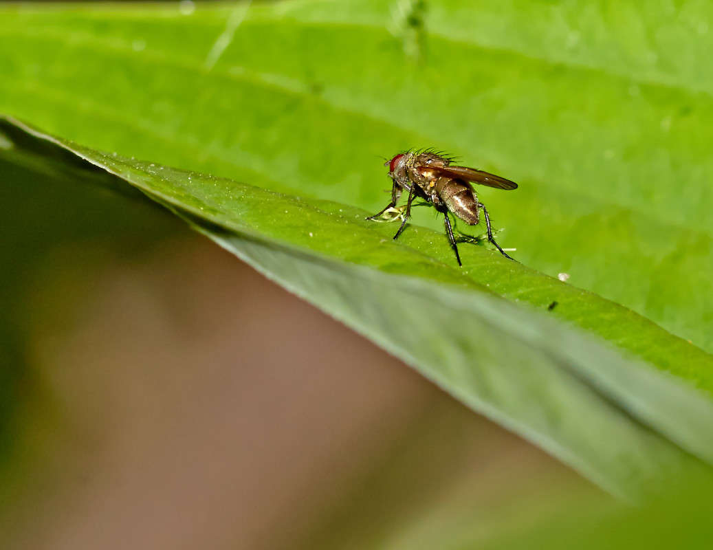 ... ����� Viktor Nogovitsin �� PhotoGeek.ru #�����