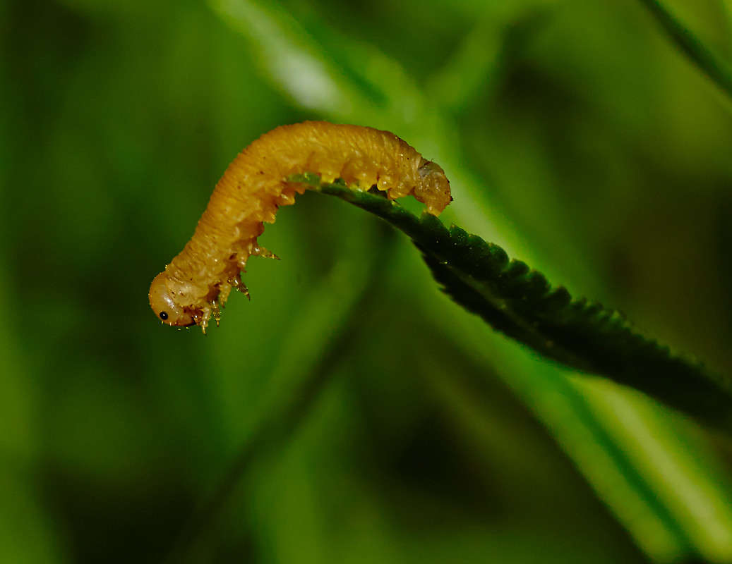 ... ����� Viktor Nogovitsin �� PhotoGeek.ru #�����