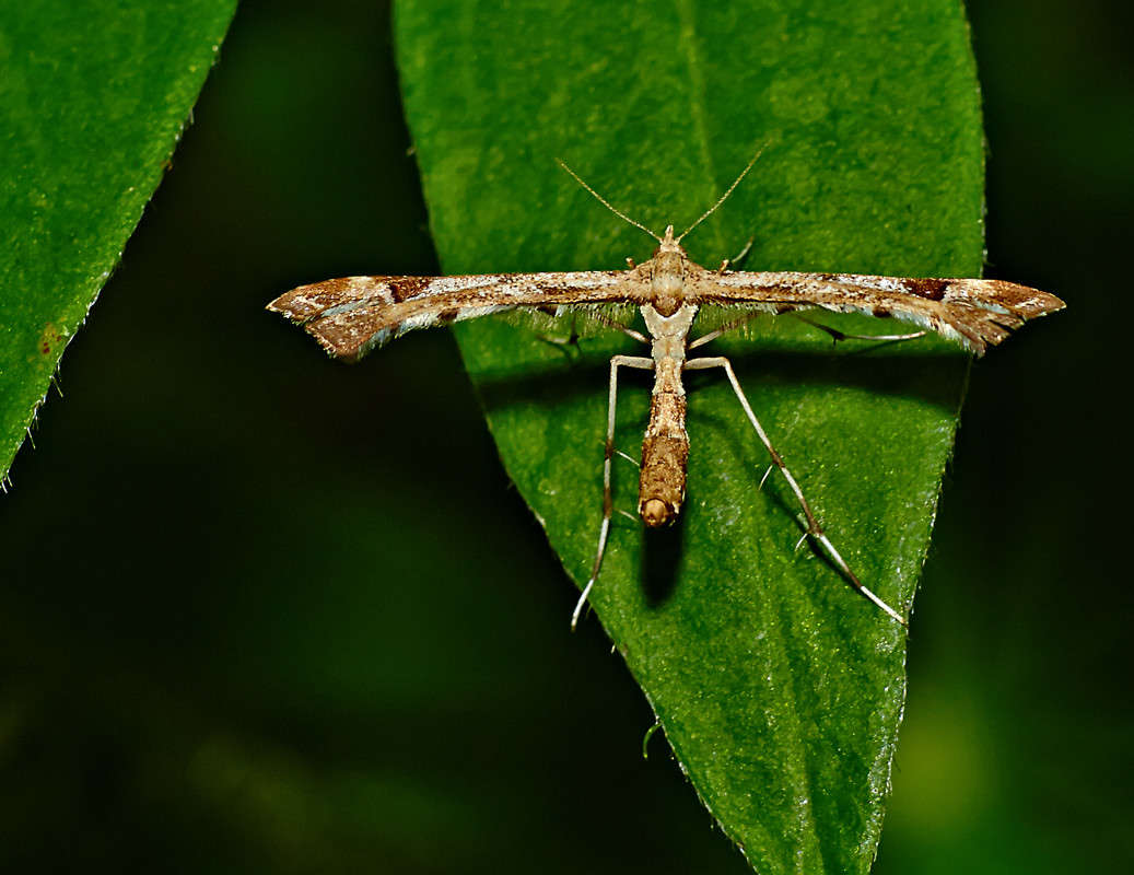 ... ����� Viktor Nogovitsin �� PhotoGeek.ru #�����