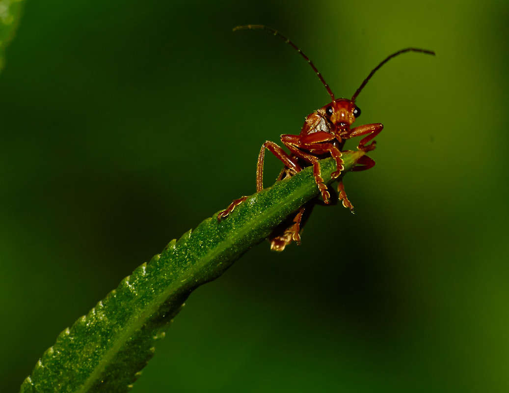 ... ����� Viktor Nogovitsin �� PhotoGeek.ru #�����