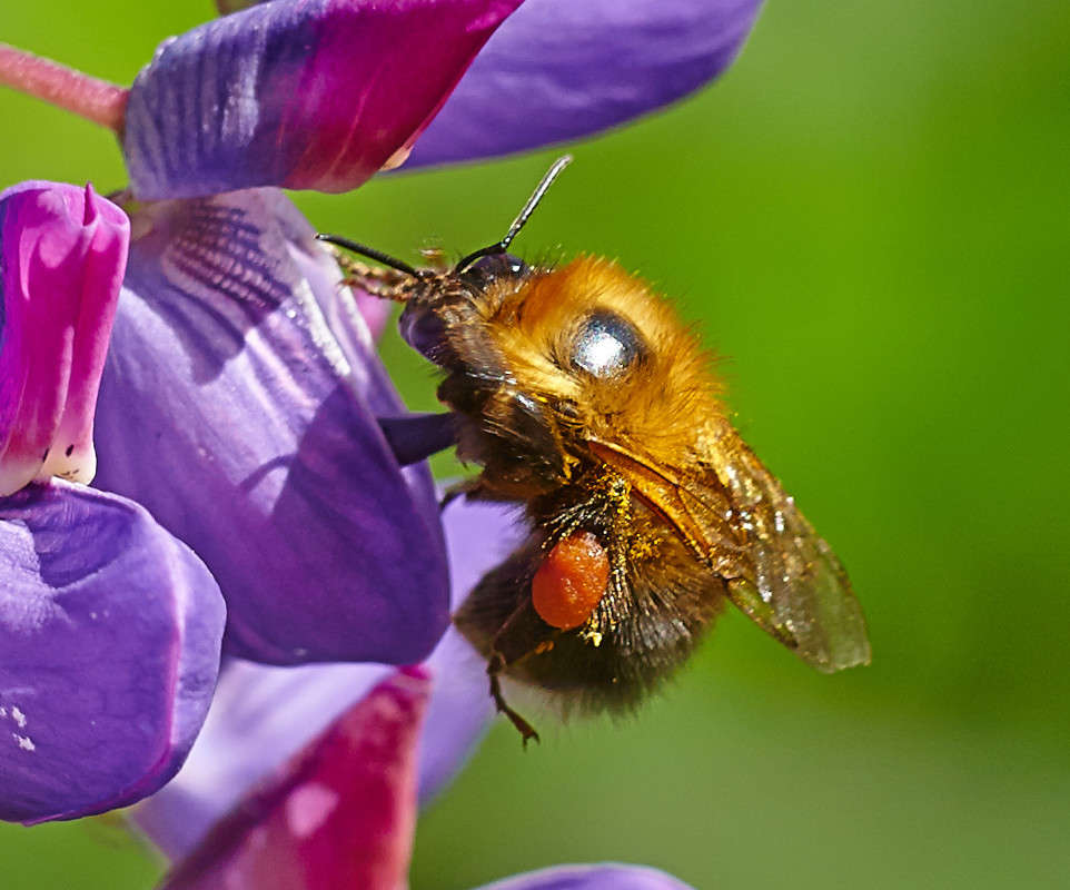 ... ����� Viktor Nogovitsin �� PhotoGeek.ru #�����