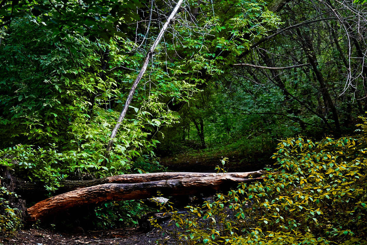 ... ����� Viktor Nogovitsin �� PhotoGeek.ru #������ ��� �������