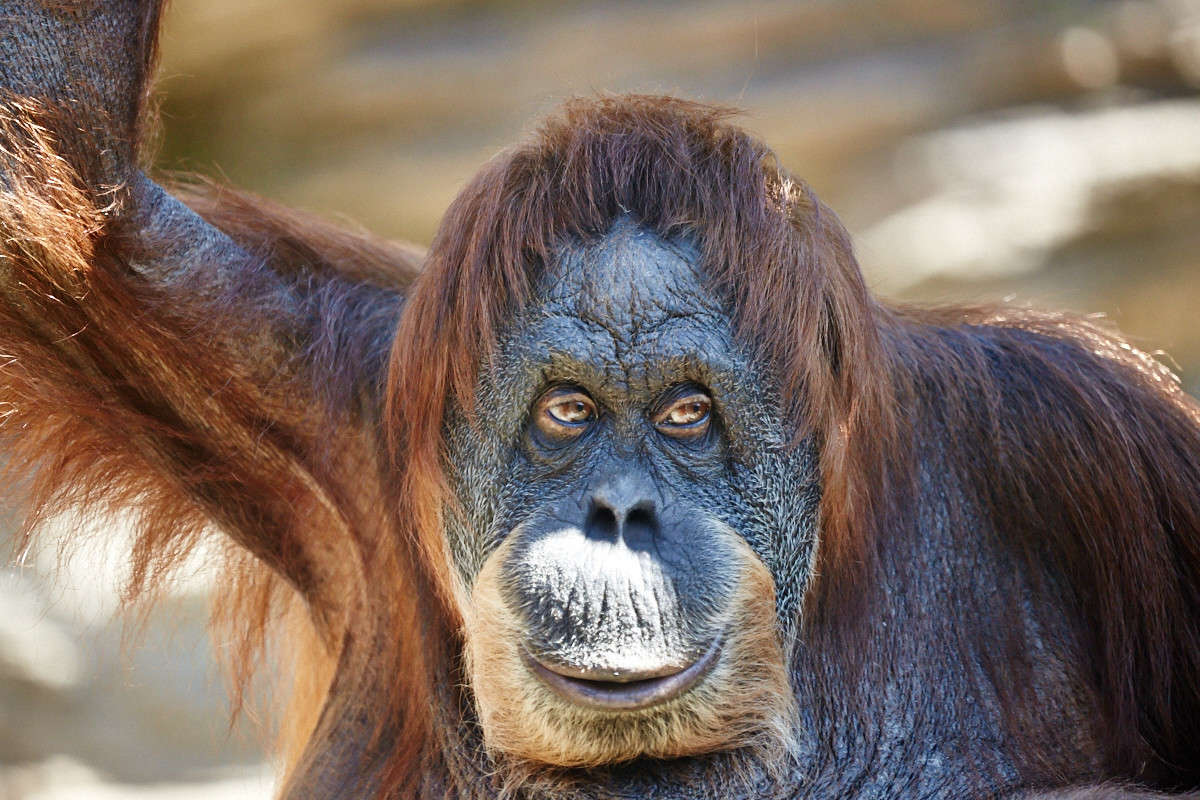 ... ����� Viktor Nogovitsin �� PhotoGeek.ru #�������� ���