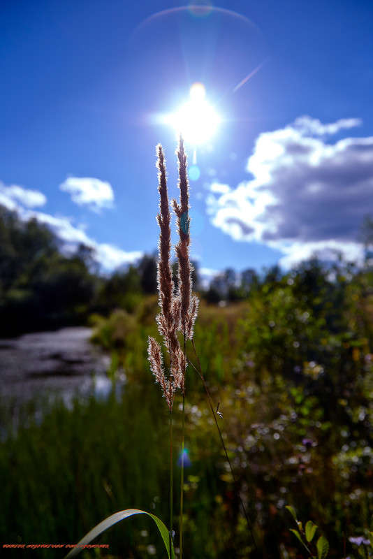 ... ����� Viktor Nogovitsin �� PhotoGeek.ru #������ ��� �������