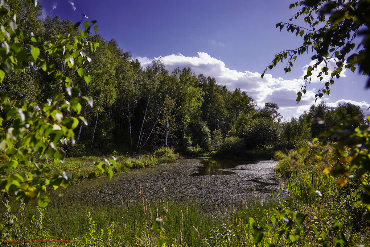 ... ����� Viktor Nogovitsin �� PhotoGeek.ru #������ ��� �������