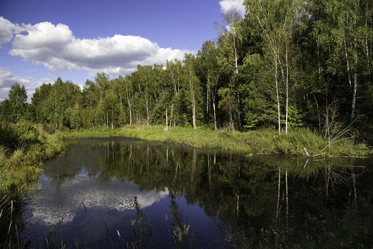 ... ����� Viktor Nogovitsin �� PhotoGeek.ru #������ ��� �������