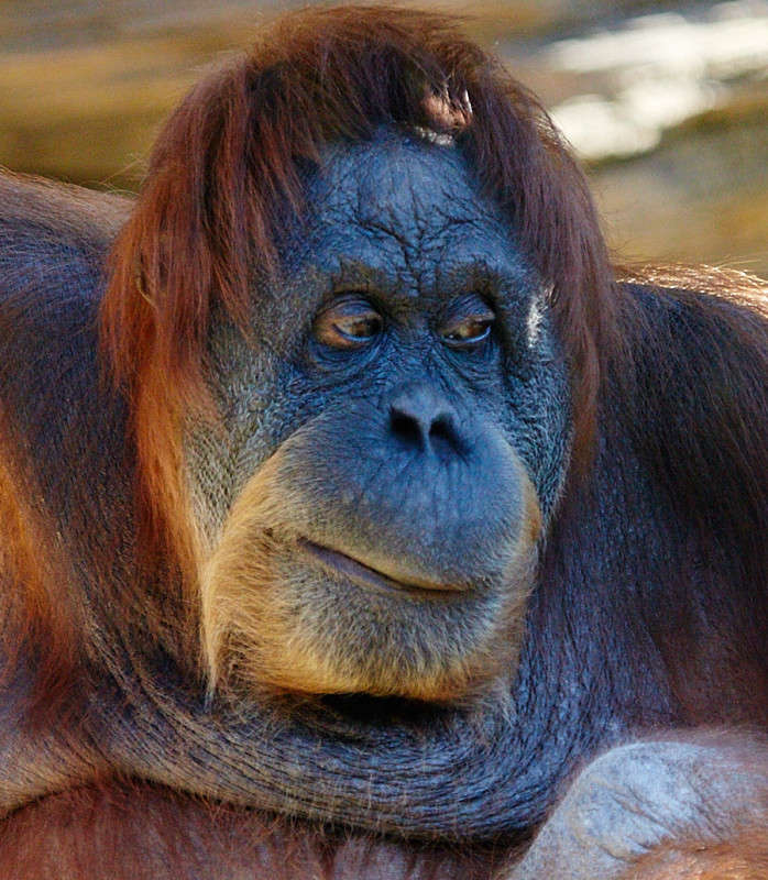 ))) ����� Viktor Nogovitsin �� PhotoGeek.ru #�������� ��� #�������