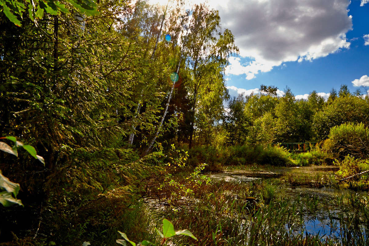 ��������� �-��. �����������. ����� Viktor Nogovitsin �� PhotoGeek.ru #������ ��� �������