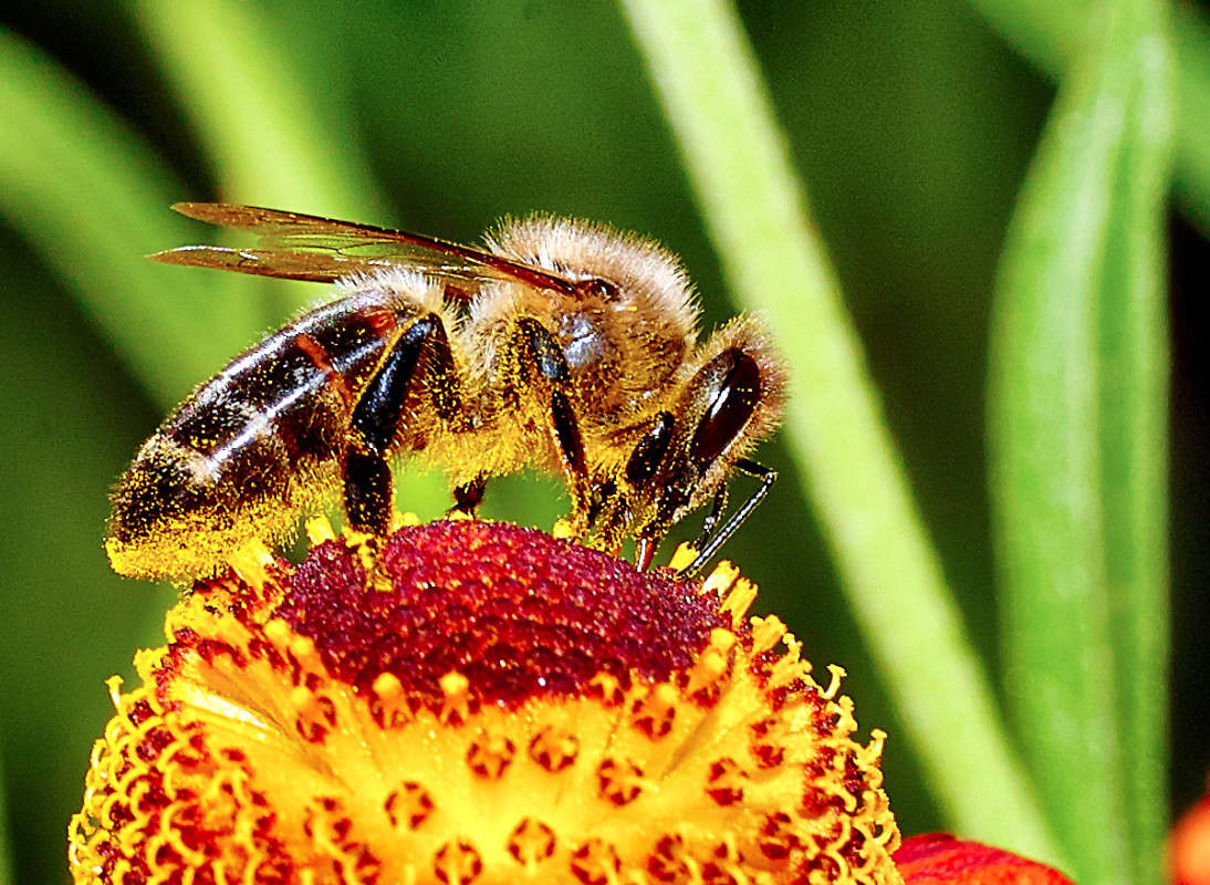 ... ����� Viktor Nogovitsin �� PhotoGeek.ru #�����