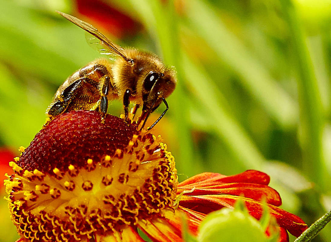 ��������� ������... ����� Viktor Nogovitsin �� PhotoGeek.ru #�����