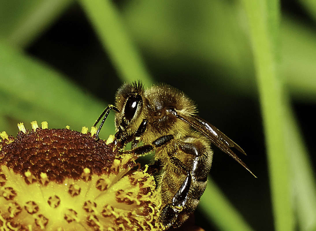 *** ����� Viktor Nogovitsin �� PhotoGeek.ru #����� #�������� ���