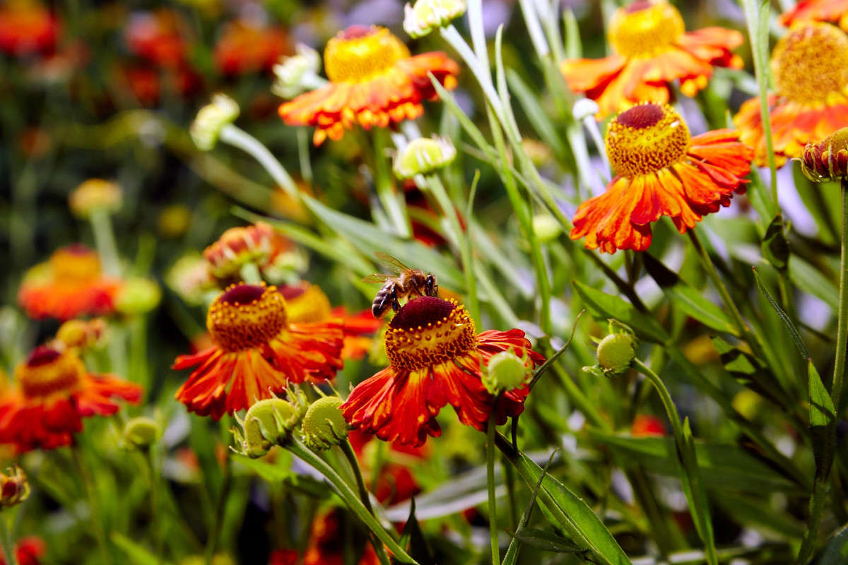 � ����... ����� Viktor Nogovitsin �� PhotoGeek.ru #������ ��� �������