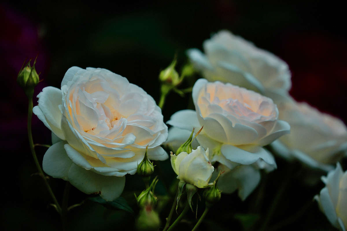 ... ����� Viktor Nogovitsin �� PhotoGeek.ru #����� #������ ��� �������