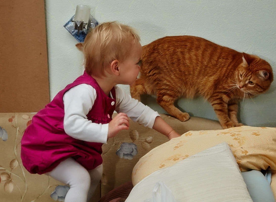 ... ����� Viktor Nogovitsin �� PhotoGeek.ru #������� #��������