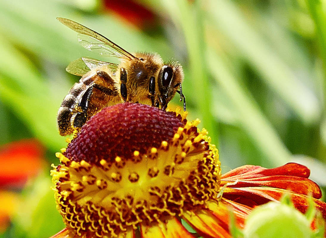 ... ����� Viktor Nogovitsin �� PhotoGeek.ru #����� #�������� ���