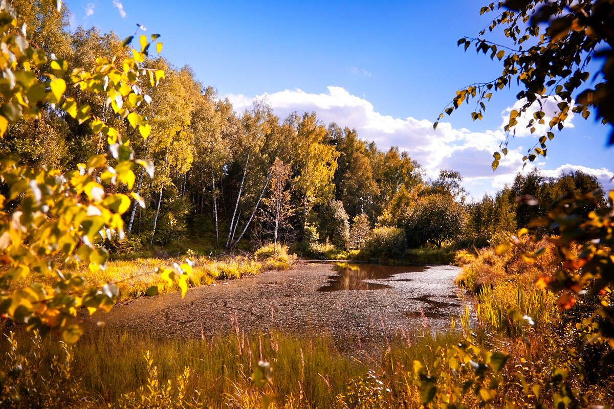 ... ����� Viktor Nogovitsin �� PhotoGeek.ru #������ ��� �������