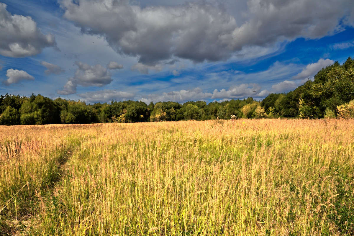 ... ����� Viktor Nogovitsin �� PhotoGeek.ru #����� #������ ��� �������