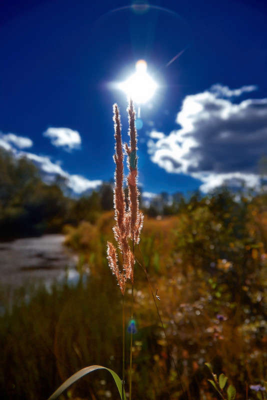 ... ����� Viktor Nogovitsin �� PhotoGeek.ru #������ ��� ������� #����� ��������������