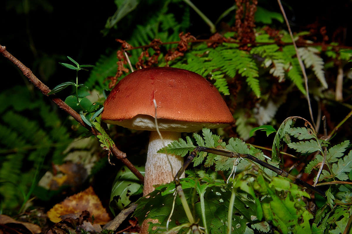 ... ����� Viktor Nogovitsin �� PhotoGeek.ru #������ ��� �������