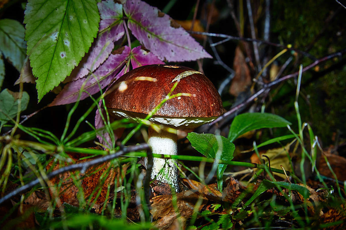 ... ����� Viktor Nogovitsin �� PhotoGeek.ru #������ ��� �������