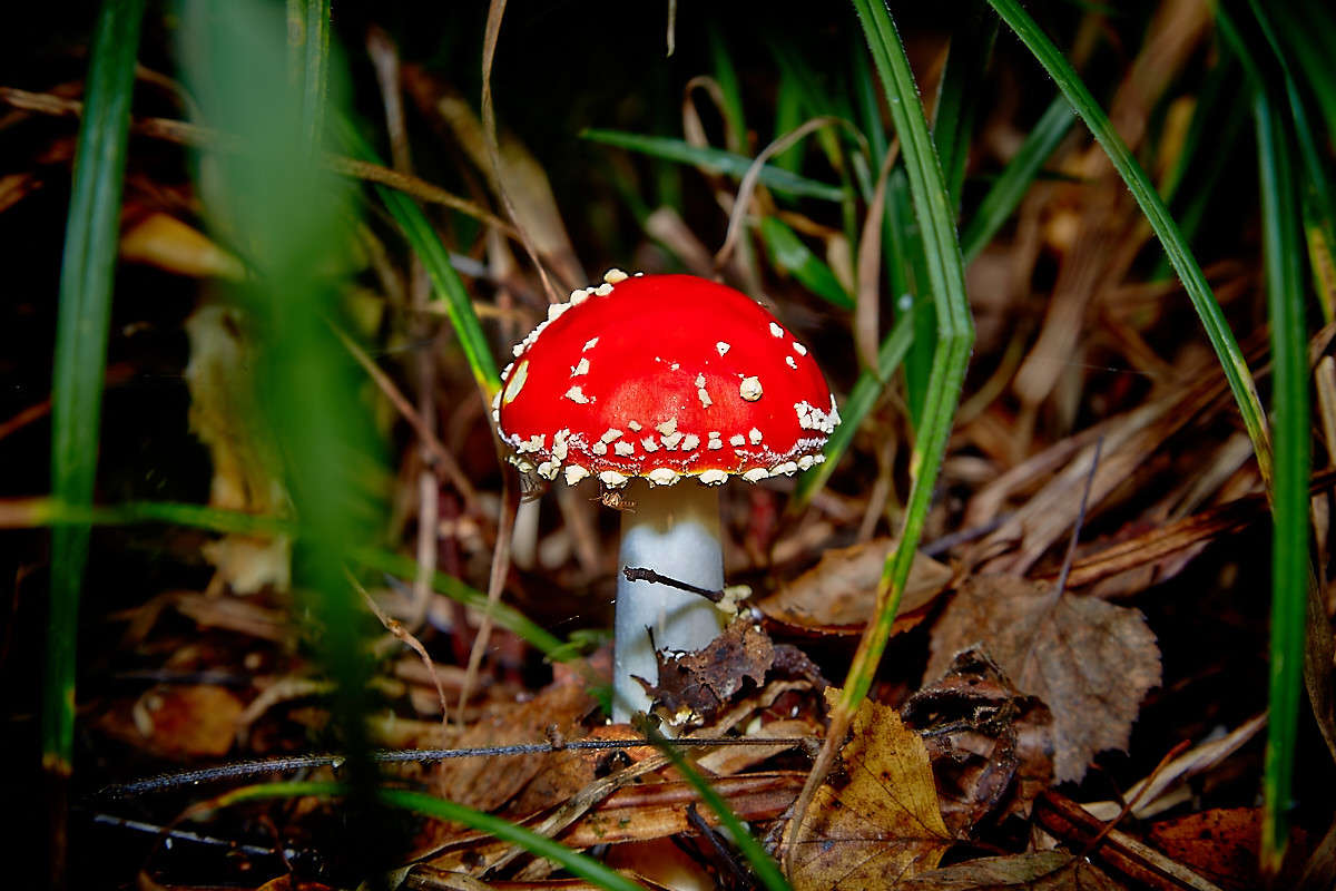 ... ����� Viktor Nogovitsin �� PhotoGeek.ru #����� #������ ��� �������