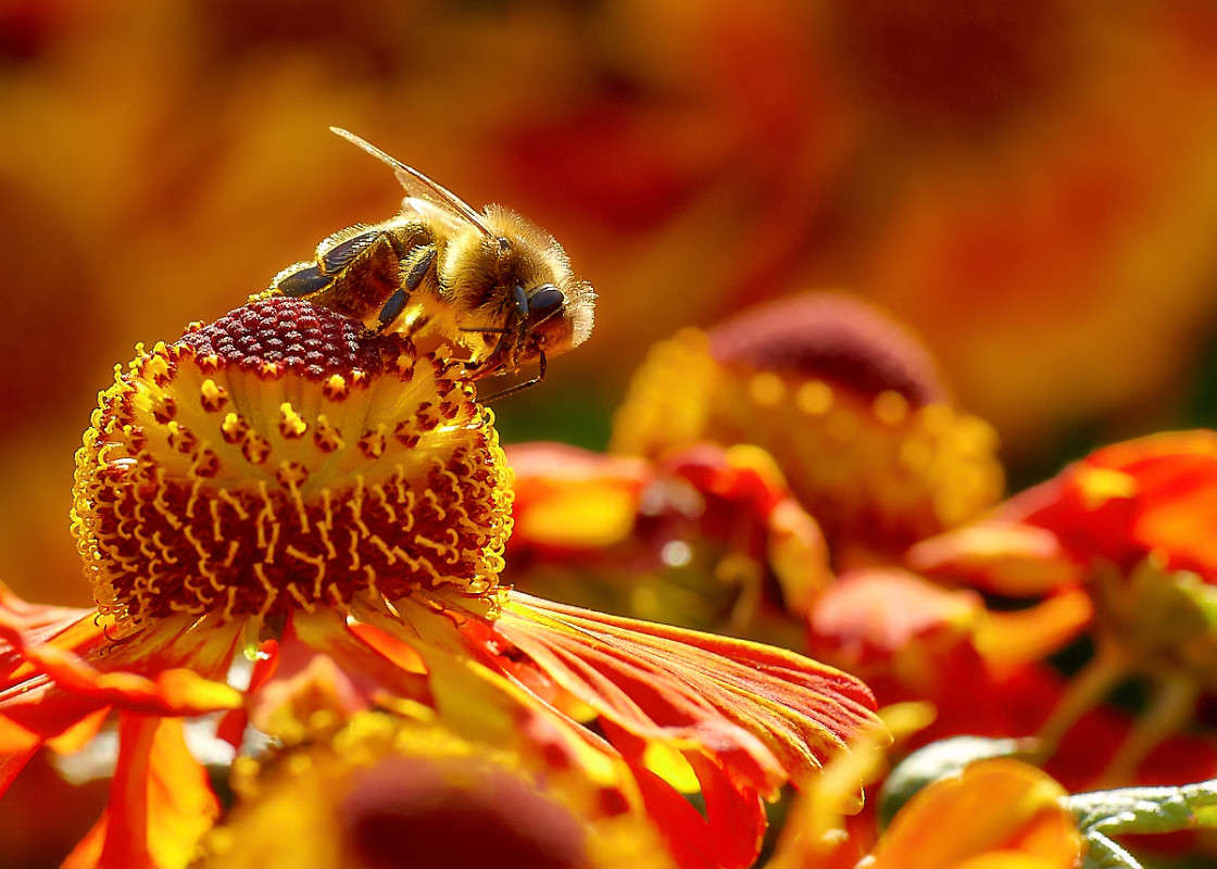 ... ����� Viktor Nogovitsin �� PhotoGeek.ru #�����